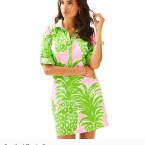 Sanibel Tunic dress